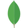 icons8-mongodb-96